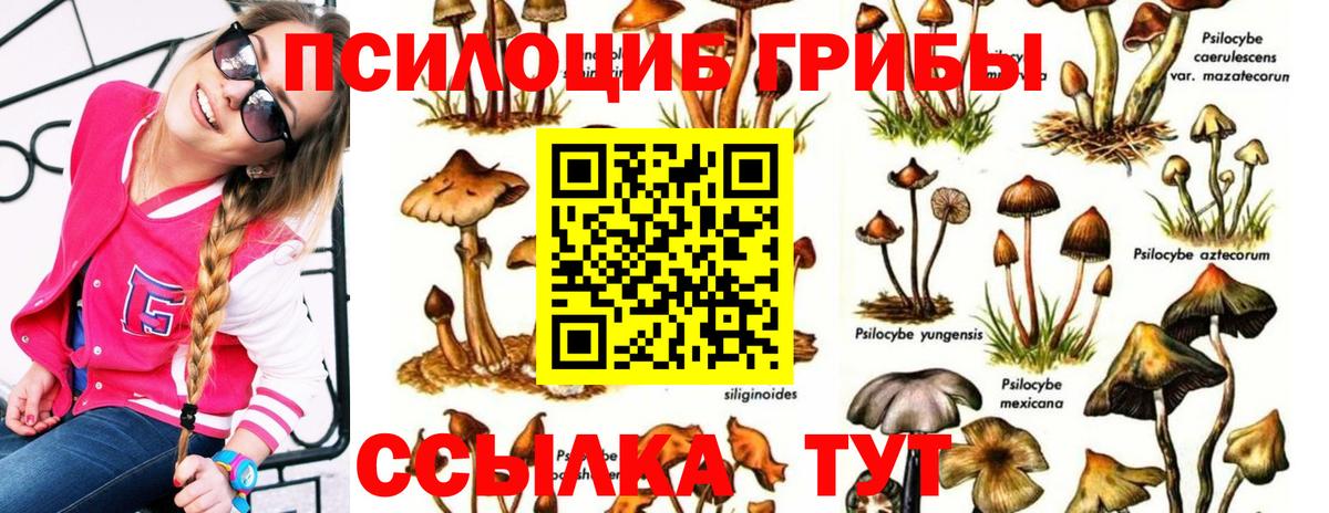 купить закладку  Псилоцибиновые грибы мухоморы  Вход с VPN  Галлюциногенные грибы Psilocybe  Кстово 